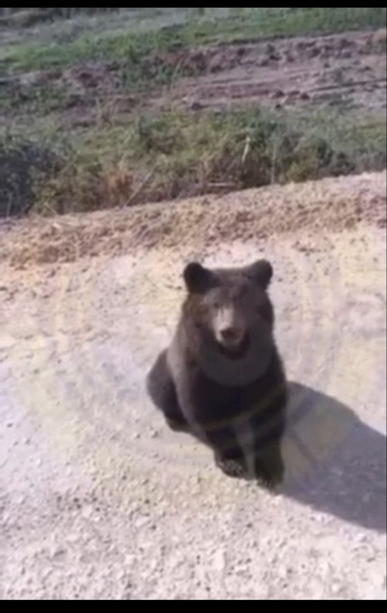 post-25985 thumbnail